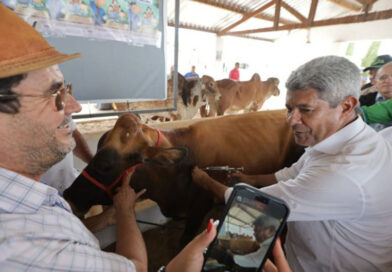 Em Irecê, exposição agropecuária e vacinação contra febre aftosa são destaque durante visita do governador