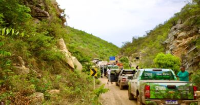 Flagrante de incêndio florestal em Érico Cardoso intensifica operação Blitz Verde na Chapada Diamantina